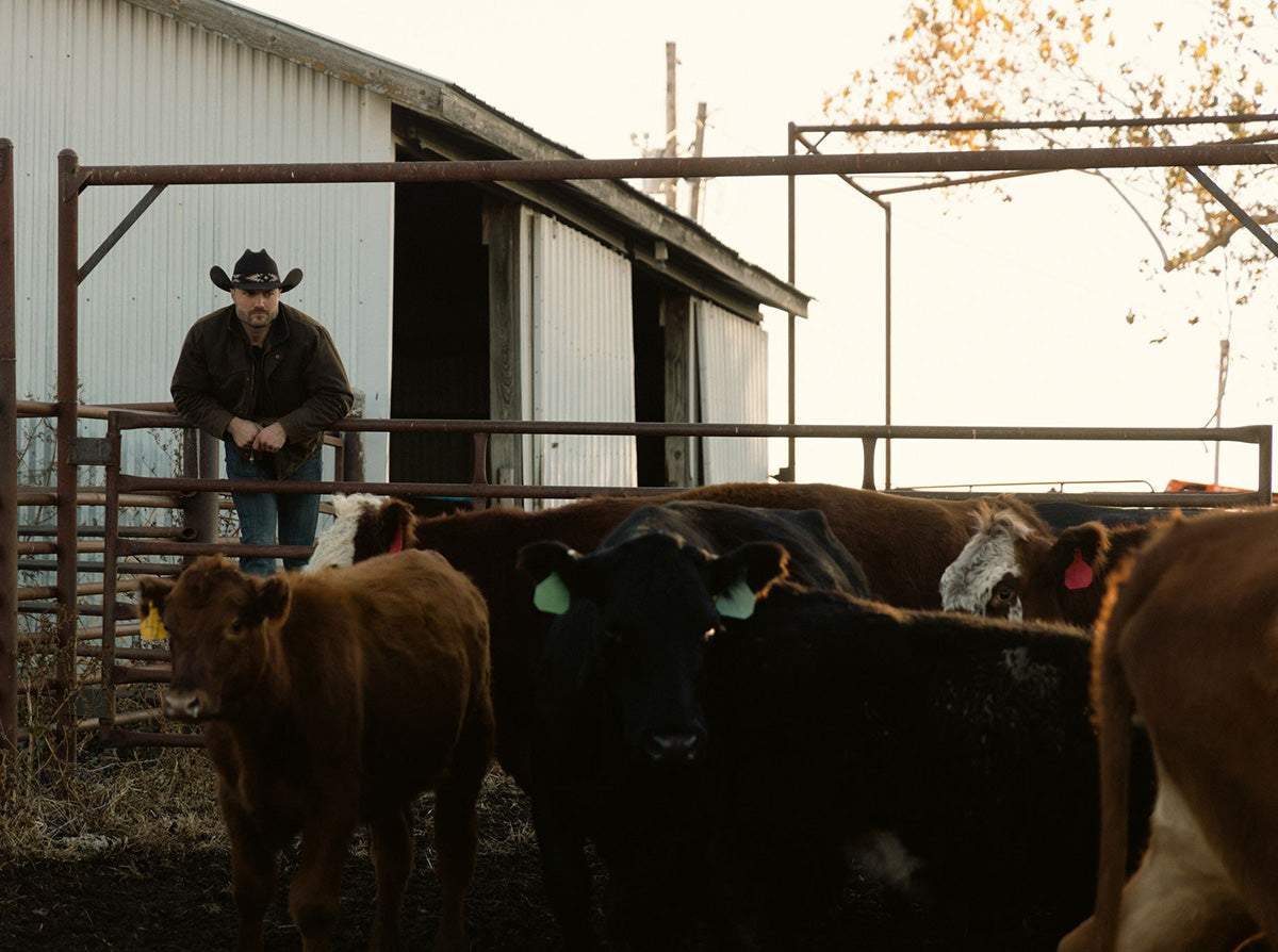 🥩 Farm-Raised, Family-Reliable: Why More Families Are Switching to McBee Meat Company