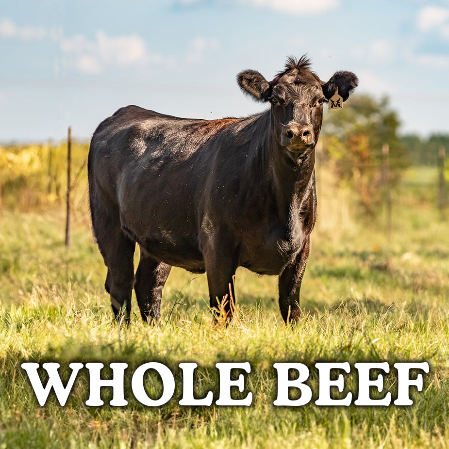 The Whole Beef + Free Freezer - McBee Meat Company
