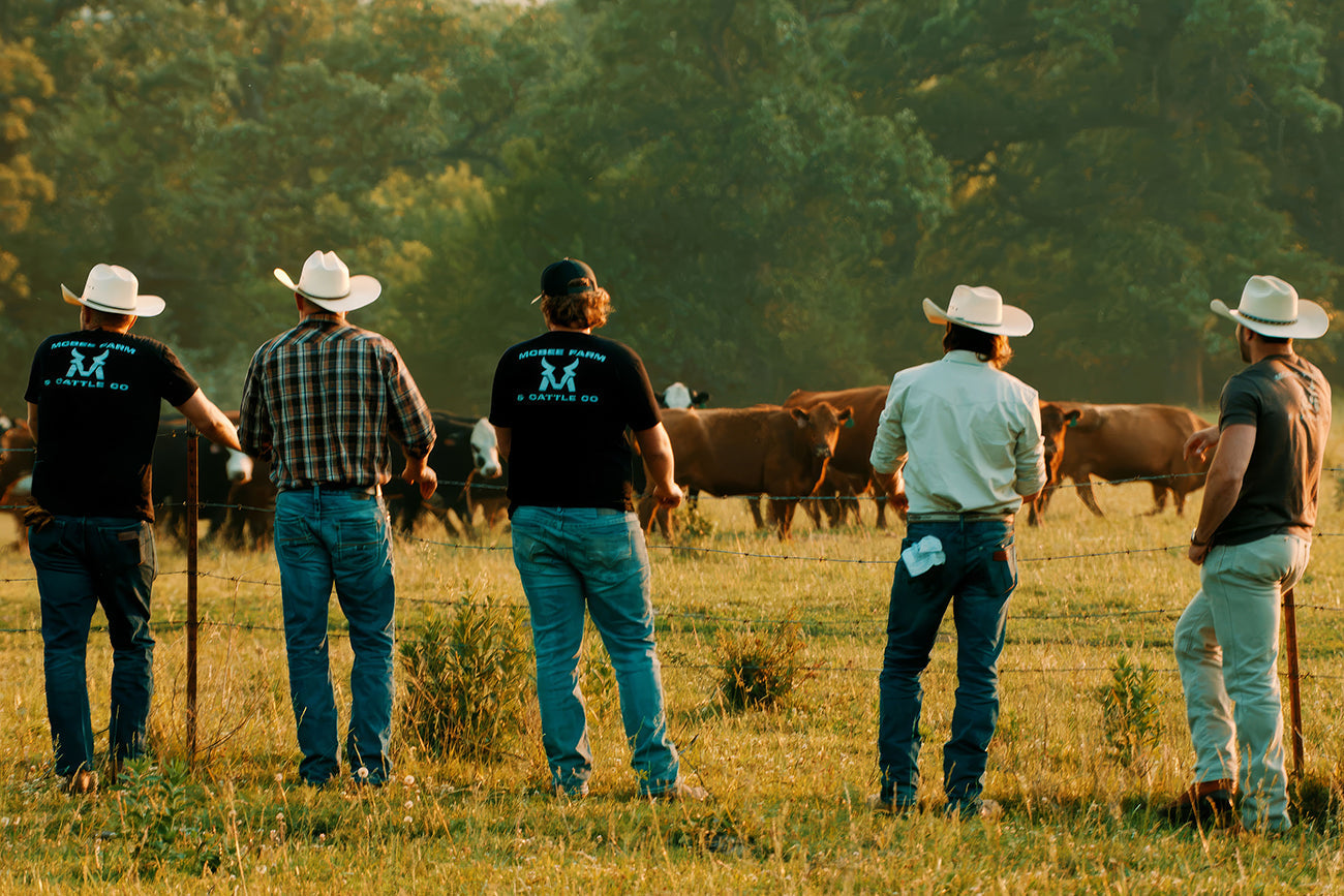 Why Farm-Raised Meat from a Family-Owned Business Beats the Big Brands